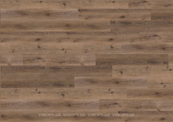 Фото Wineo 800 Wood XL Mud Rustic Oak (DLC00063)