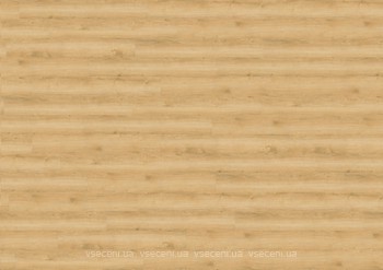 Фото Wineo 800 Wood Wheat Golden Oak (DLC00080)