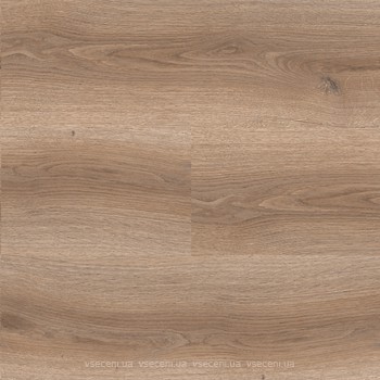 Фото IVC Echo Click Oak Sand (24230)