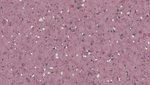 Фото Tarkett Primo Premium Soft purple 0663 (21010663)