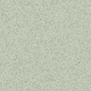 Фото Tarkett Primo Premium Light green 0679 (21010679)