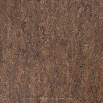 Фото Tarkett Veneto XF Tiger Eye 524