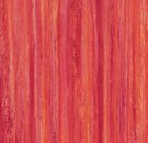 Фото Forbo Marmoleum Striato Colour Red Roses (5242)