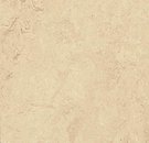 Фото Forbo Marmoleum Modular Marble Calico (t2713)