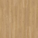 Фото IVC Moduleo Transform Verdon Oak 24237
