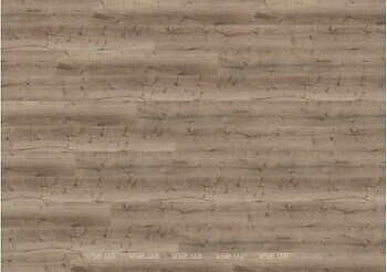 Фото Wineo 400 Wood XL Comfort Oak Taupe (DB300WXL)