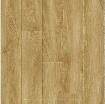 Фото Tarkett Express Oak Origin Nature (257067002)