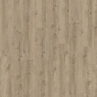 Фото IVC Eterna Acoustic Major Oak (5829)