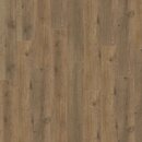 Фото IVC Eterna Acoustic Major Oak (5855)
