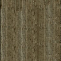 Фото DLW Scala 55 Armstrong (25116-156)
