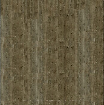 Фото DLW Scala 55 Armstrong (25116-156)