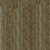 Фото DLW Scala 55 Armstrong (25116-156)