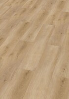Фото Check Basic 2461 Buchrasen Eiche (2461-0101)