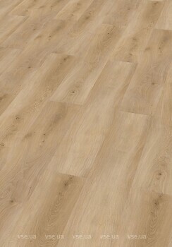Фото Check Basic 2461 Buchrasen Eiche (2461-0101)