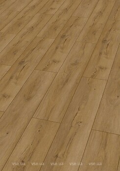 Фото Check Basic 2462 Horstmar Oak (2462-0201)