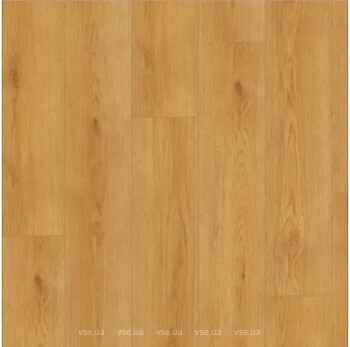 Фото SLCC Flooring American Collection Flex Malden (FP05)