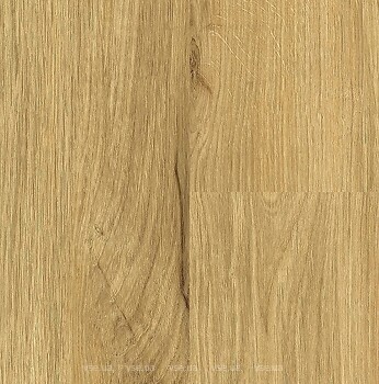 Фото Falquon Wood Dryback Honey Oak P7001