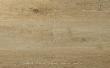 Фото Firmfit Discovery 33/5 EW-2631