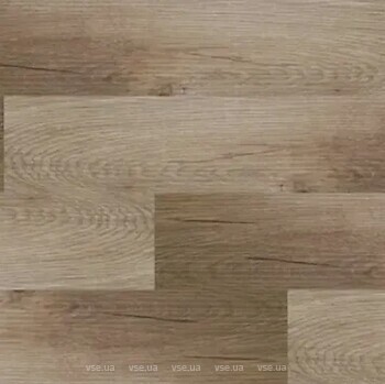 Фото Firmfit Discovery Natura Dryback EWH-2983GD
