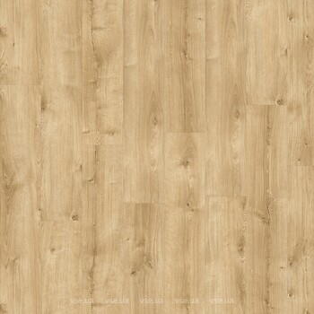 Фото IVC Moduleo Roots Galway Oak 87372