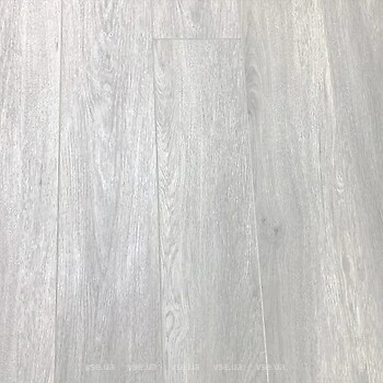 Фото GrunHolz Triumf Perugia (61718)