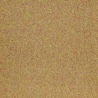 Фото Domo ковровая плитка Modulyss Alpha 215