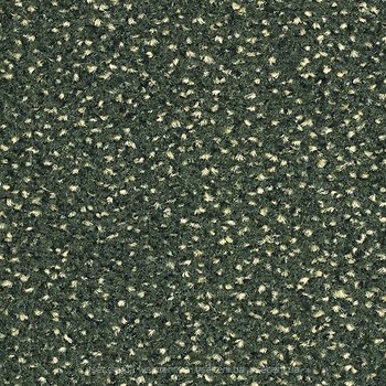 Фото Balsan Equinoxe 260