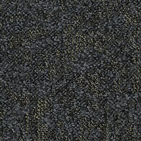 Фото Desso ковровая плитка Salt 9975