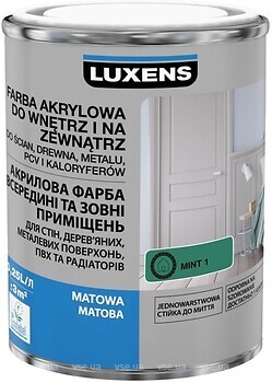 Фото Luxens акриловая эмаль матовая 0.25 л темно-зеленая (mint 1)