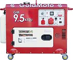 Фото GoldMoto GM9.5KTDJ