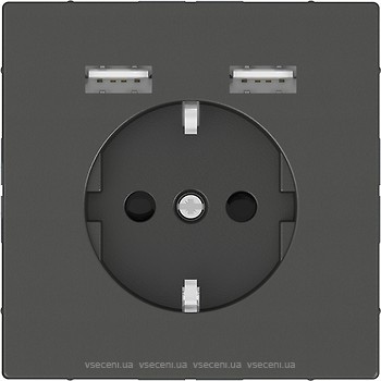 Фото Schneider Розетка Merten MTN2366-6034 одинарная с заземлением и защитной шторкой + USB