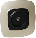 Фото Horoz Electric Розетка ELA 112-007-0009-040 телевизионная проходная черная, золотая