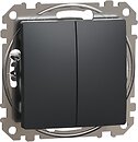 Фото Schneider Electric Выключатель Sedna Design & Elements двухклавишный (SDD114118)