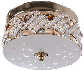 Фото Brille BCL-484C/9W LED (22-233)