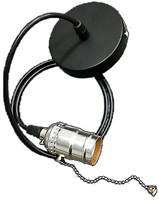 Фото Levistella AMP35004-1
