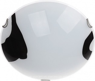 Фото Brille W-434/2