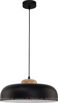 Фото TK Lighting Steel 2376