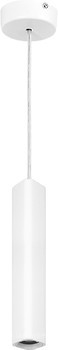 Фото Maxus 1-FPL-006-02-S-WH