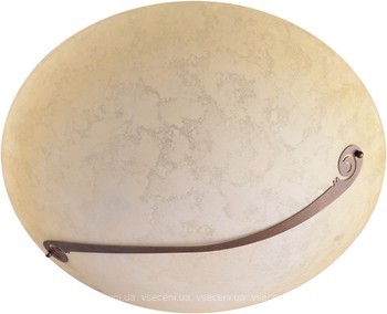 Фото Brille W-509/3 (L38-031)