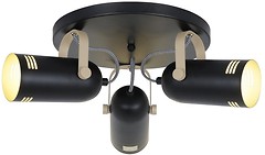 Фото Laguna Lighting 95562-03