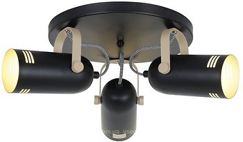 Фото Laguna Lighting 95562-03