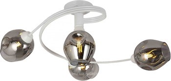 Фото Levistella 761LX04-4 WH BK
