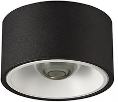 Фото Skarlat RSLC78013 30W 4000K BK+WH (32340)