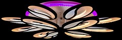 Фото Diasha 8090/8+4 BK