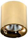 Фото Azzardo Mane 10W (AZ4323)