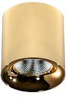 Фото Azzardo Mane 10W (AZ4323)