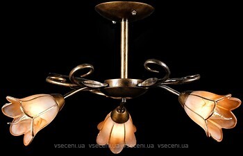 Фото Splendid Ray L10189/3