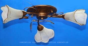 Фото Splendid Ray L10008/3