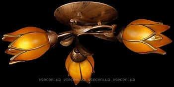 Фото Splendid Ray L10010A/3