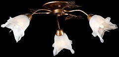 Фото Splendid Ray L10118/3